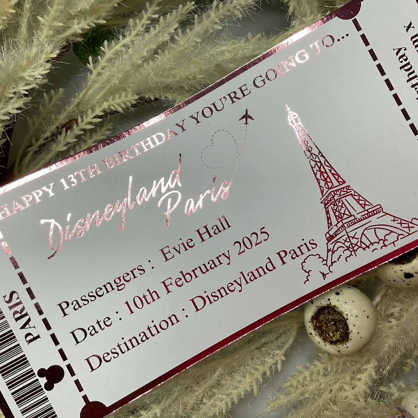 Disneyland Paris Foiled Ticket