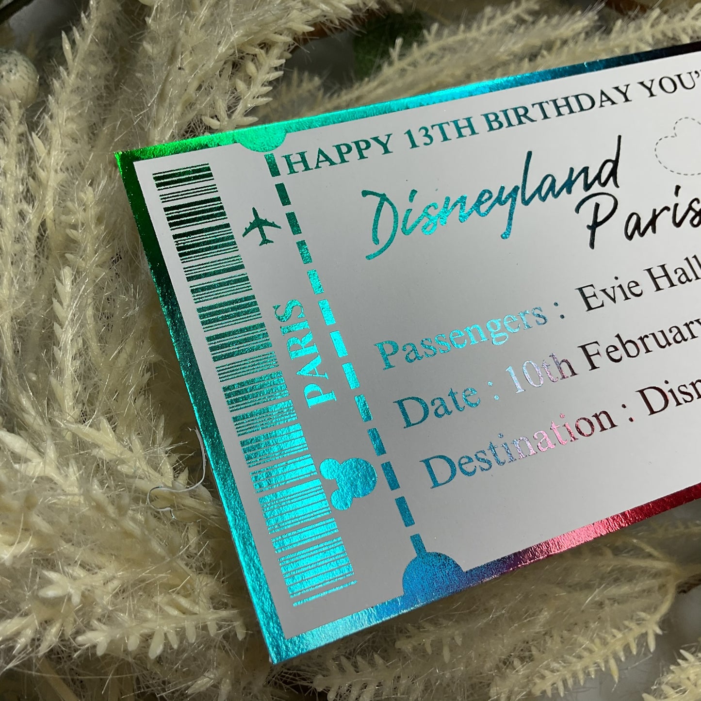Disneyland Paris Foiled Ticket