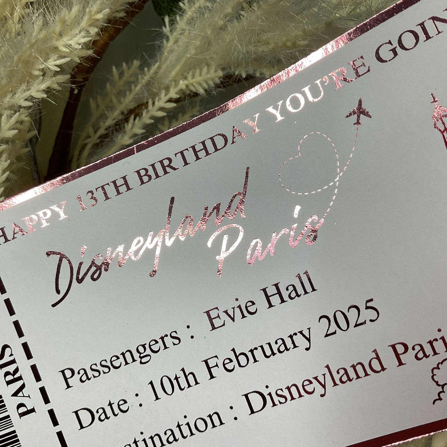 Disneyland Paris Foiled Ticket