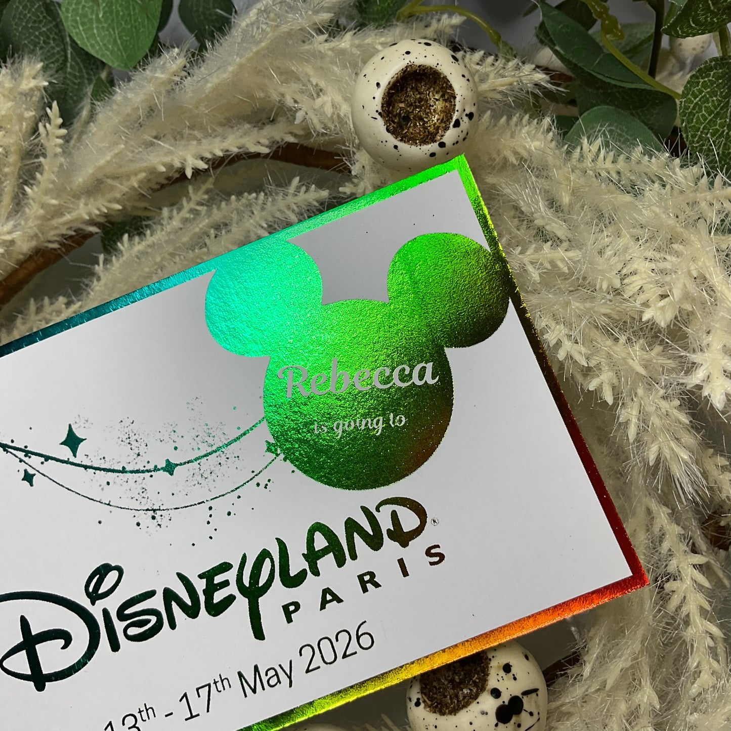 Simple Disneyland Paris Foiled Ticket